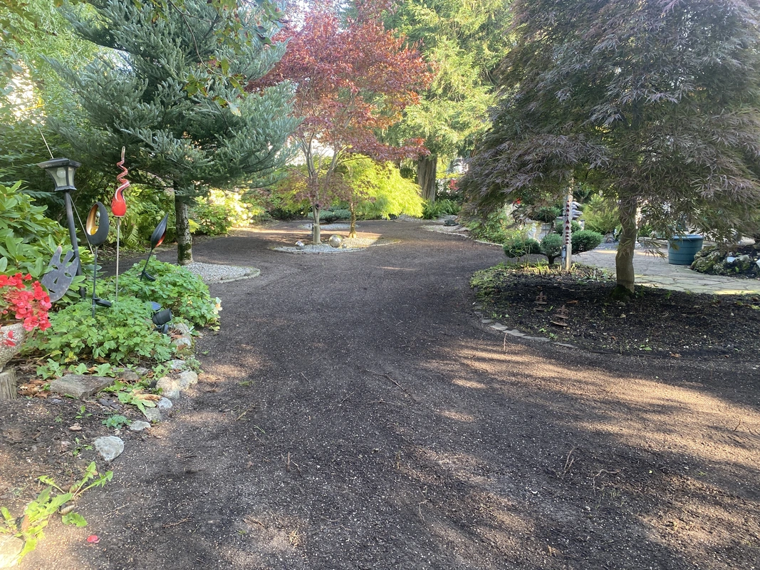 Neuanlage Rollrasen 2